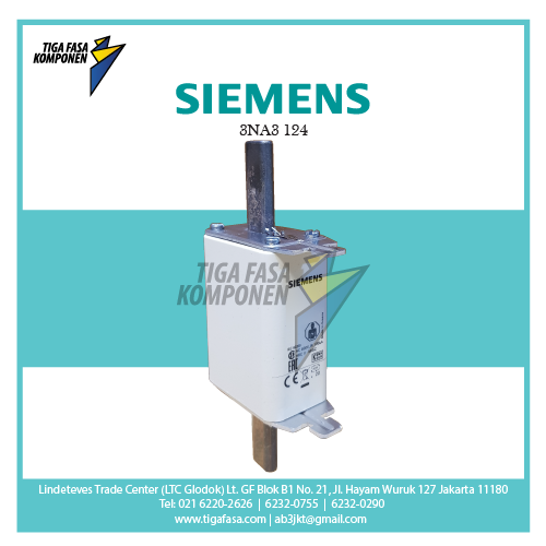 3NA3124 FUSE NH1 80A